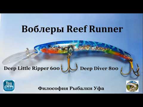 Видео: Воблеры Reef Runner (Deep Little Ripper 600/Deep Diver 800)