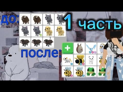 Видео: 1 часть адопт ми с нуля💞//добились нр пета..? //(шок трейды адоптми) 🐝