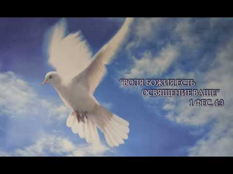 Видео: Благодать Божия, научающая нас 