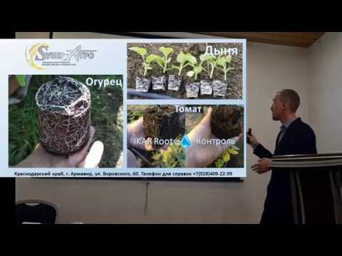 Видео: Биостимуляторы и некорневые подкормки - 2 часть семинара Супер-Агро