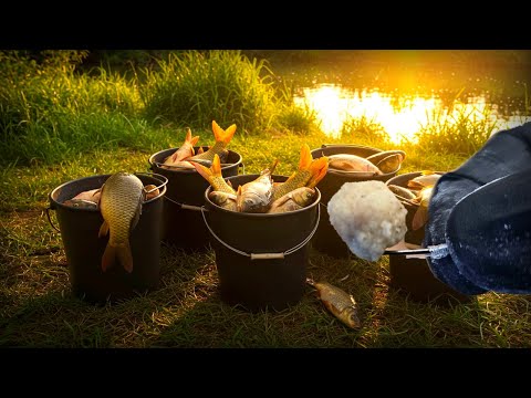 Видео: 50 КГ ЗА ЧАС! 🤯 Карась, Плотва, Лещ в ОКТЯБРЕ просто СХОДЯТ С УМА от этой НАСАДКИ