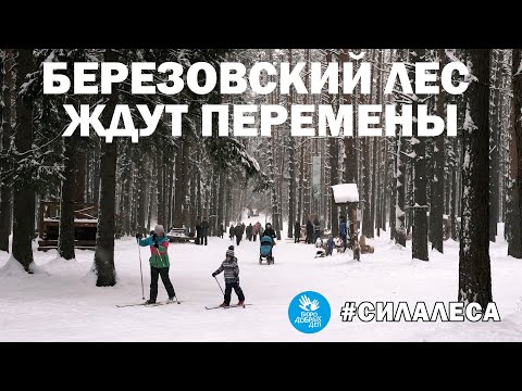 Видео: Березовский Лес - Березовский парк Воткинск