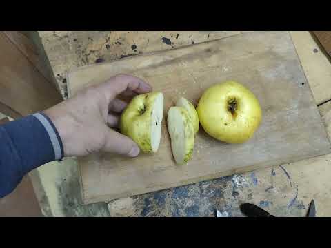 Видео: Из чего дальше делаем ножи?  Х12мф, 95Х18, У12А, тестируем.