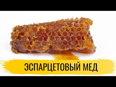 Видео: Мед. Эспарцетовый мед