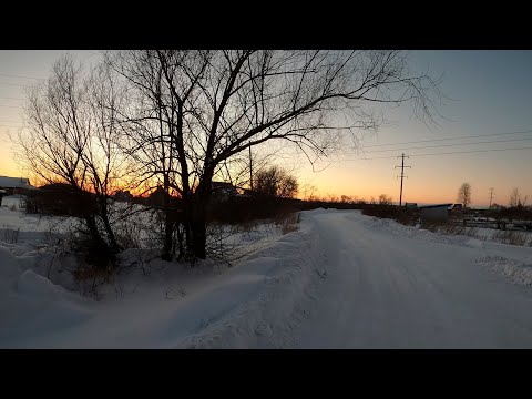 Видео: VLOG: Лев первый раз ест манную кашу. 13.02.2020