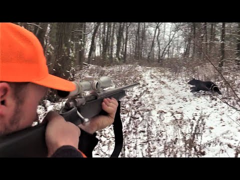 Видео: День дикой охоты на оленей! — Охота с винтовкой в ​​Пенсильвании на снегу