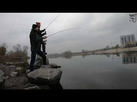 Видео: Рыбалка одной приманки. Street Fishing.