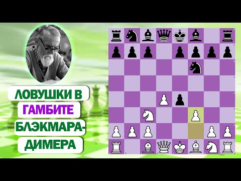 Видео: ЛОВУШКИ В ГАМБИТЕ БЛЭКМАРА-ДИМЕРА, КОТОРЫЕ МОГУТ ПОМОЧЬ ВАМ ВЫИГРАТЬ ПАРТИЮ!