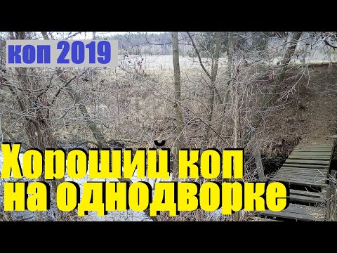 Видео: КОП 2019. Удачный коп на однодворке. Поиск монет.