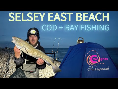 Видео: Рыбалка на треску и скатов на пляже Селси-Ист | Sea Fishing UK