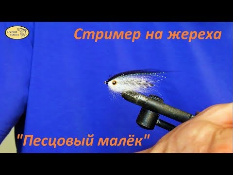 Видео: Стример на жереха "Песцовый малёк"