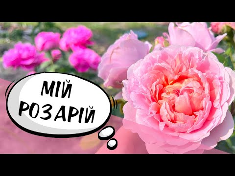 Видео: ПЕРША ЧАСТИНА, ОГЛЯД ТРОЯНД, ПРОГУЛЯНКА САДОМ