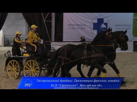 Видео: Эквирос 2014:Экстремальный драйвинг на лошадях фризской породы. КСК "Свечинский", Ярославская обл.