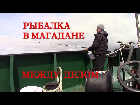 Видео: рыбалка в магадане 1