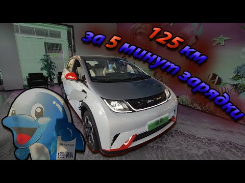 Видео: BYD DOLPHIN. НОВАЯ ЛЮБОВЬ КИТАЙСКОЙ МОЛОДЁЖИ