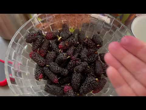 Видео: Тель-Авив влог. Насыщенные два дня .