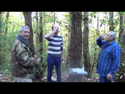 Видео: 04 11 20 05 11 20  День Рождения Артура на перевале