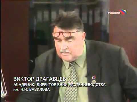 Видео: Николай Вавилов и Трофим Лысенко.mp4