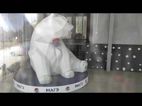 Видео: Мурманск.Улица Папанина от и до.