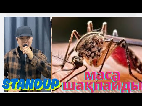 Видео: Тілек айтудан қашам// Риэлтормен ерегестім// Маса шақпайды  STANDUP қазақша  (Али Баба стендап)