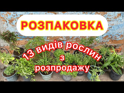 Видео: Розпаковка з описом рослин. Замовила 13 видів рослин!