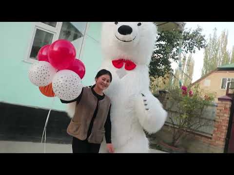 Видео: Аксы району .Ак добо.