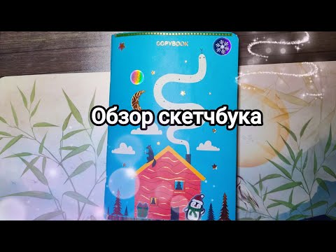 Видео: ❄️Обзор Зимнего Скетчбука 🩵 №24