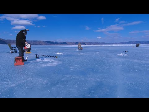 Видео: Байкальская рыбалка