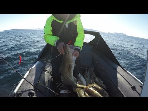 Видео: Весенний лов трески на Северном Кильдине / Spring cod fishing in the North Kil'din