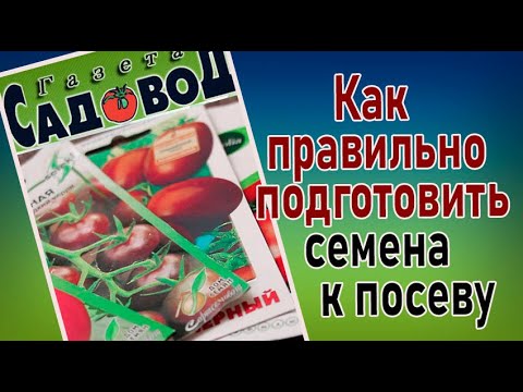 Видео: Как правильно подготовить семена к посеву