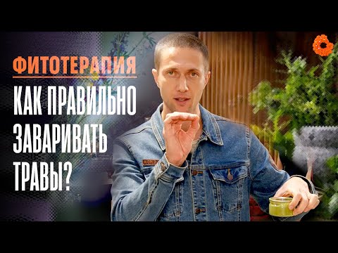 Видео: Фитотерапия: как правильно заваривать травы?