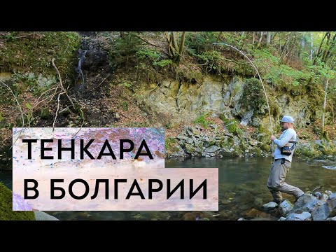 Видео: Рыбалка в БОЛГАРИИ. Ловлю ФОРЕЛЬ на тенкару. (Очень много рыбы!)