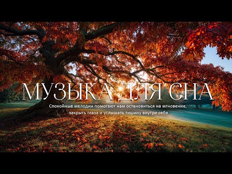 Видео: Музыка Для Души🍃Перестаньте слишком много думать, музыка для снятия стресса с осенней мелодией