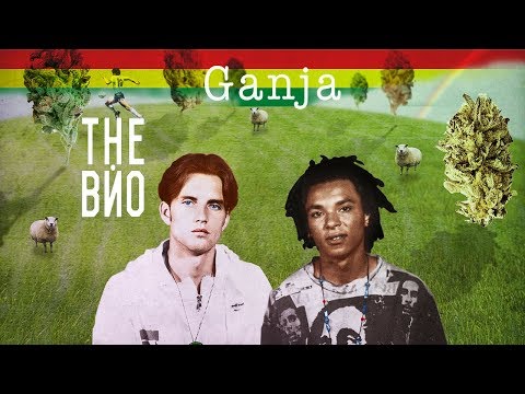 Видео: The Вйо "Ганжа" (live на фестивалі Червона Рута)