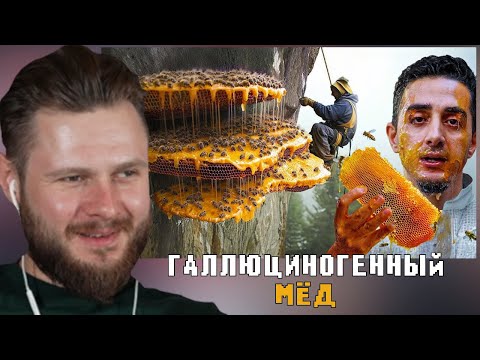 Видео: ФРОСТ СМОТРИТ:"Галлюциногенный Безумный Непальский Мед (Они взбираются, чтобы сойти с ума)"