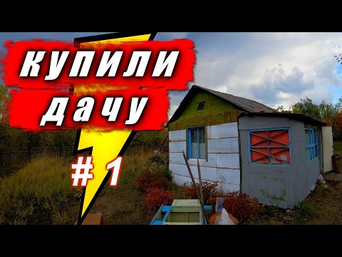 Видео: #1 Купили заброшенную дачу! Обзор участка. С чего начать?