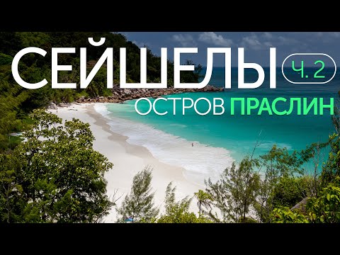 Видео: Райские пляжи и живописные тропы острова Праслин. Сейшелы летом (Часть 2)