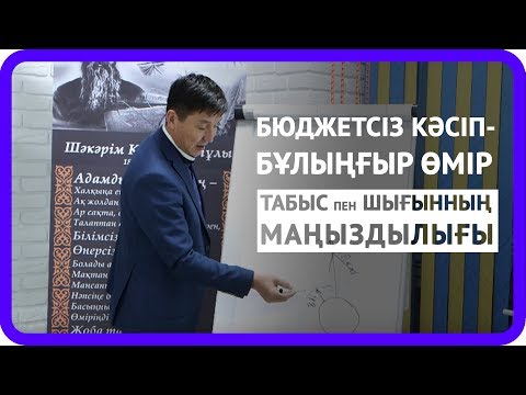 Видео: Бюджетсіз кәсіп - бұлыңғыр өмір | Табыс пен Шығынды есептеудің маңыздылығы