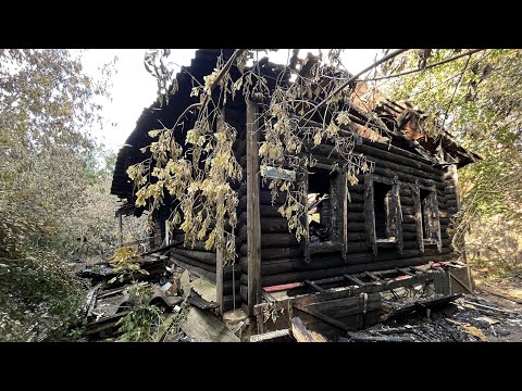 Видео: Расчистка заброшенного участка от кустов и деревьев в центре города Раменское