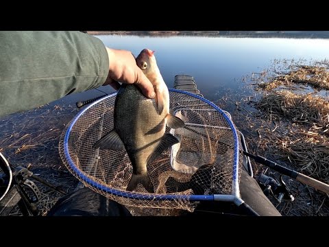 Видео: карьер Белое!!! Фидерная рыбалка 2025