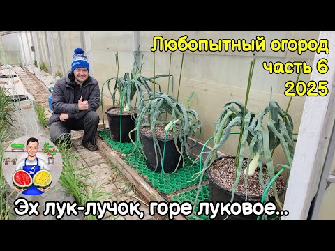 Видео: Любопытный огород часть 6 (2025)