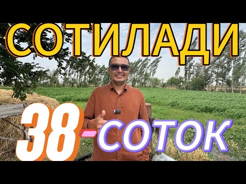 Видео: МАНА СИЗГА АРЗОН 38-СОТОКЛИ УЙ-ЖОЙ ХОНАДОН ЭГАЛАРИДАН СОТИЛАДИ.