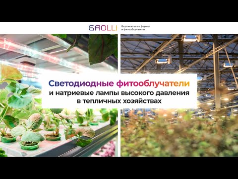 Видео: ВЕБИНАР АВОК / GROLLI - Высокоэффективные системы освещения для теплиц и правила их применения