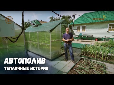 Видео: Тепличные истории / Выпуск 1