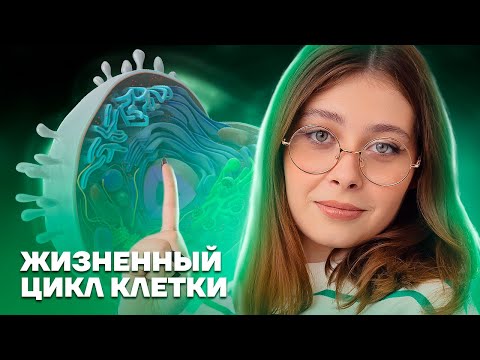 Видео: Жизненный цикл клетки: Полное объяснение | Биология ЕГЭ 2025 | Умскул