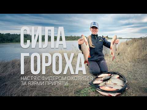 Видео: ЯЗИ на фидер! Рыбалка мечты на реке Припять. Лещ и язи на горох!