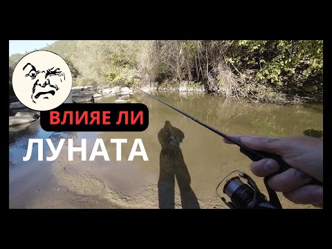 Видео: ВЛИЯЕ ЛИ ИМ ЛУНАТА