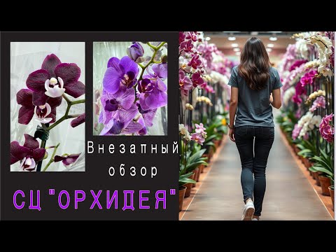 Видео: Я бы хотела все 5-7 но взяла одну🫶🤩😍КРЕМЕНЬ! потрясающий ассортимент!