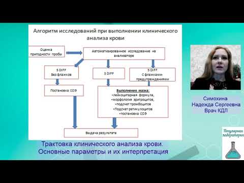 Видео: Клинический анализ крови. Трактовка. Вебинар №3