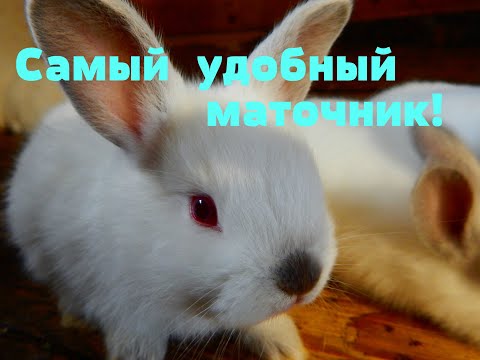 Видео: САМЫЙ  удобный  маточник  для  кроликов ( видео по заказу)..